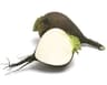 Radish: Black