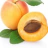 Apricot