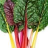 Chard: Rainbow