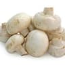 Mushroom: White