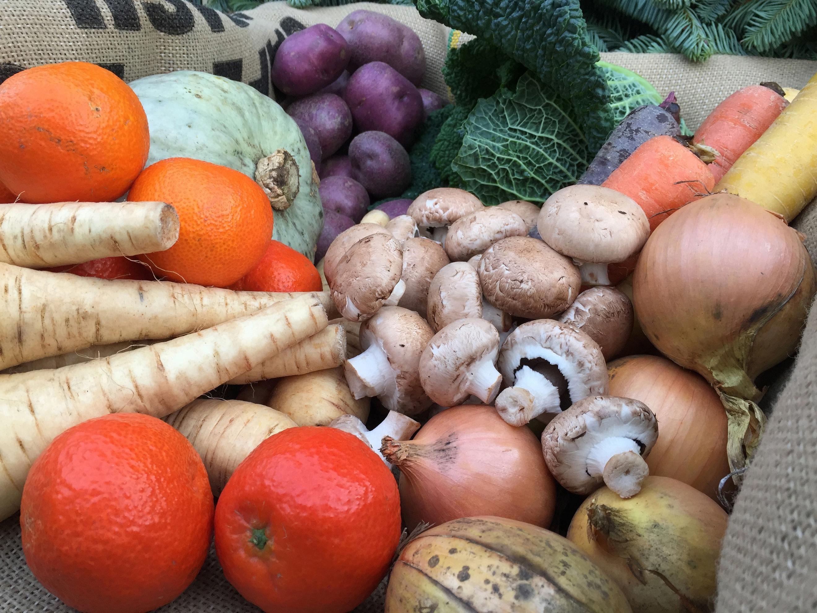 Mustard Tree Donation - XL (New customers only)